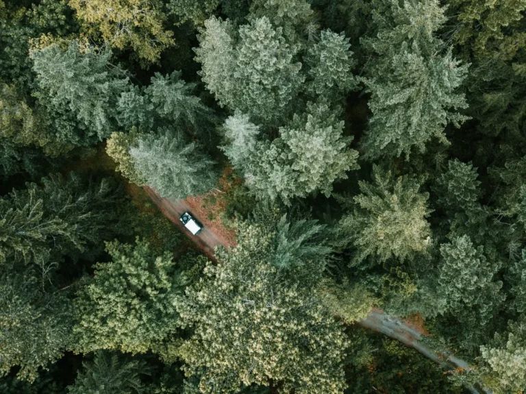 What Is The Best Drone For Beginners?